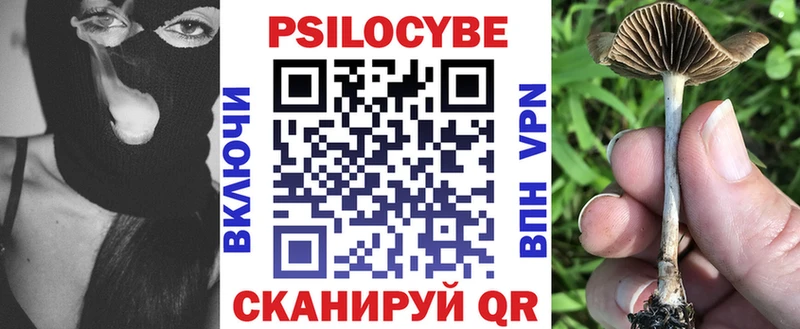 Галлюциногенные грибы Psilocybe  Петропавловск-Камчатский 